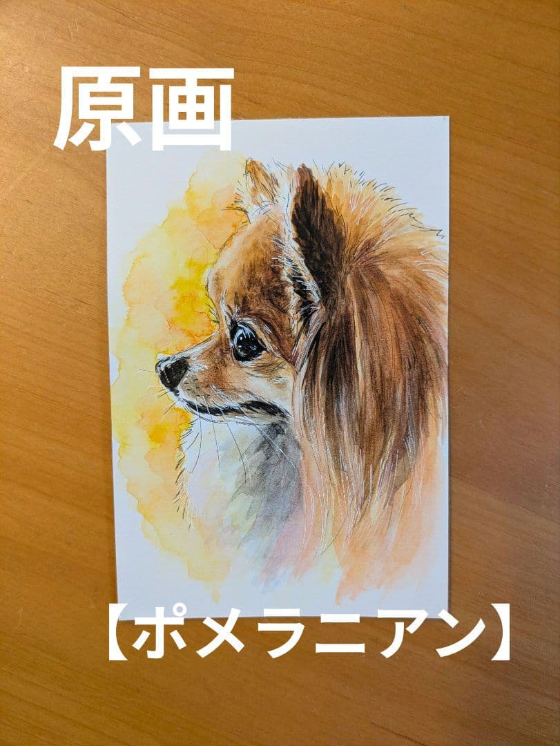 【ポメラニアン】手描きイラスト 原画 《1362》