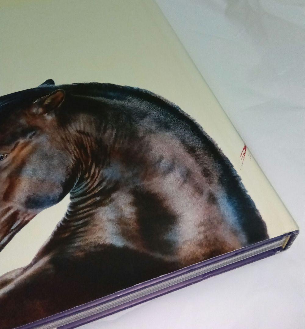 洋書 Horses by Jill Greenberg