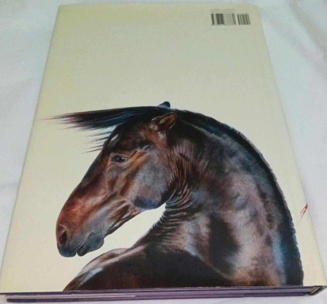 洋書 Horses by Jill Greenberg