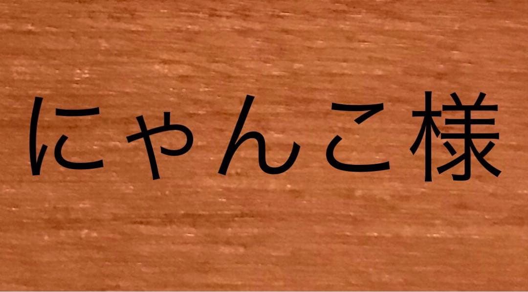バッシュ2足