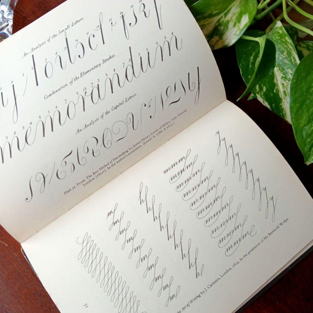 洋書古書1950年　ペンギン文庫　カリグラフィー美しい筆記体　ヴィンテージ　希少