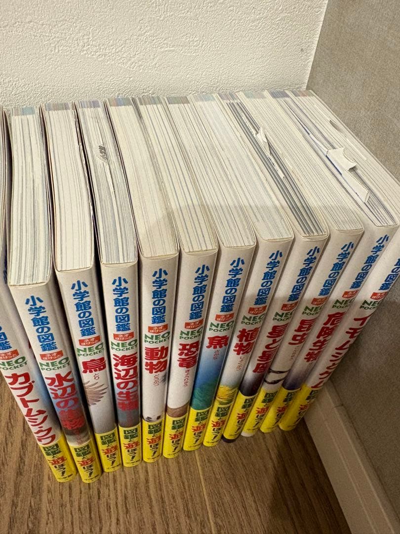 小学館図鑑neoaポケット13巻