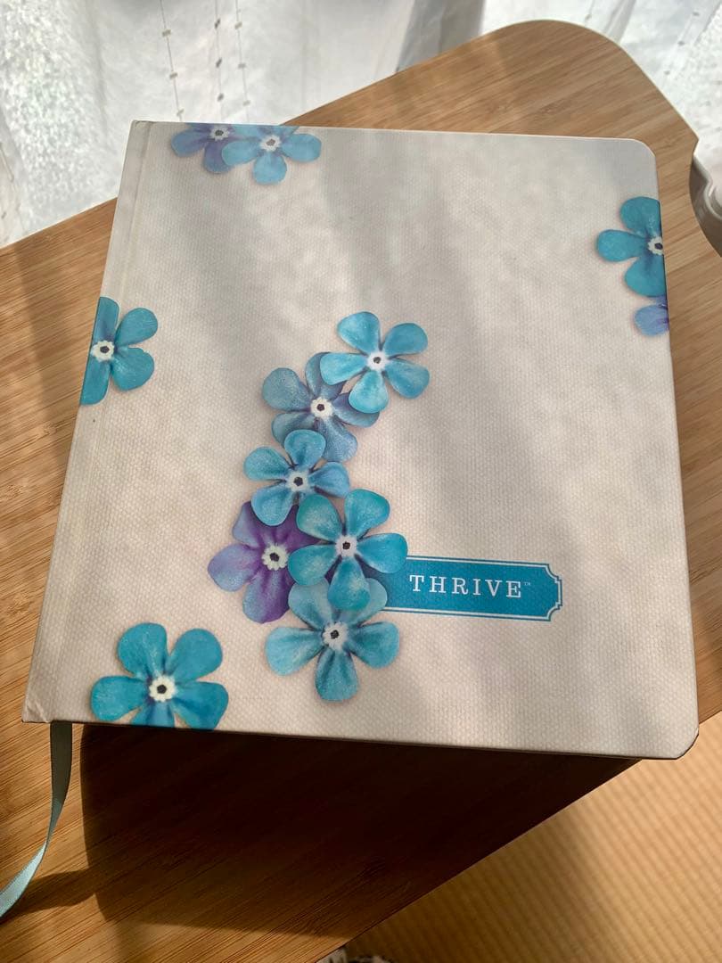 【希少品】英語の聖書　NLT Thrive Bible 書き込めるノート欄付き