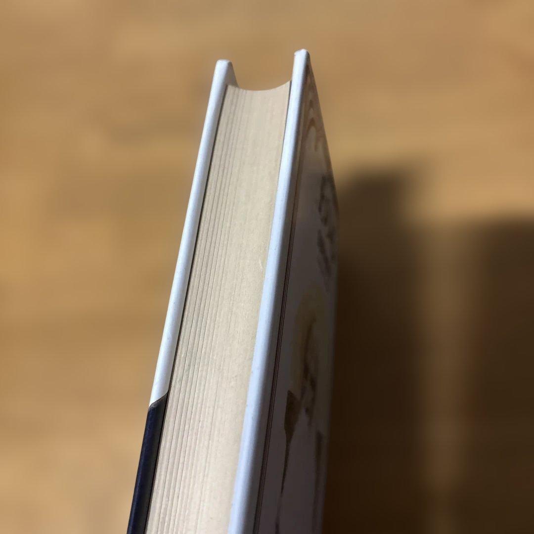 初版　王の心 : 死者の書　単行本(小説・エッセイ)　<<日本文学>> 帯付き