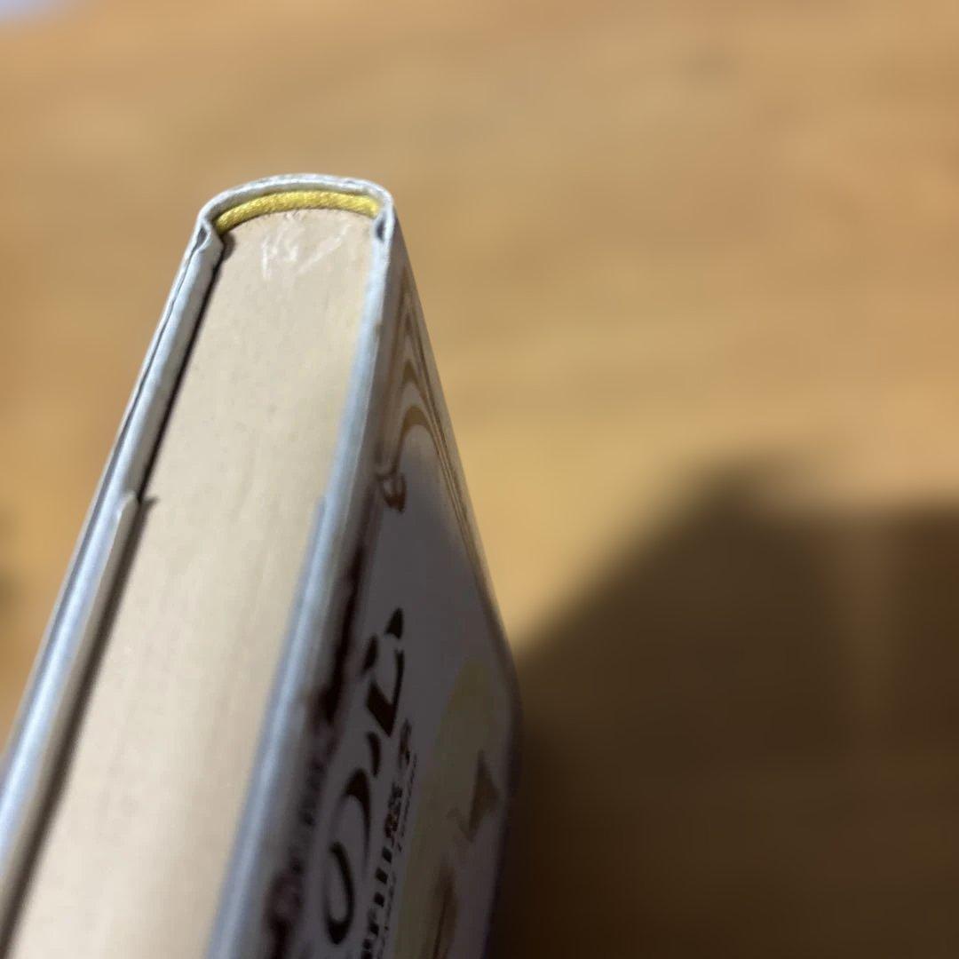 初版　王の心 : 死者の書　単行本(小説・エッセイ)　<<日本文学>> 帯付き