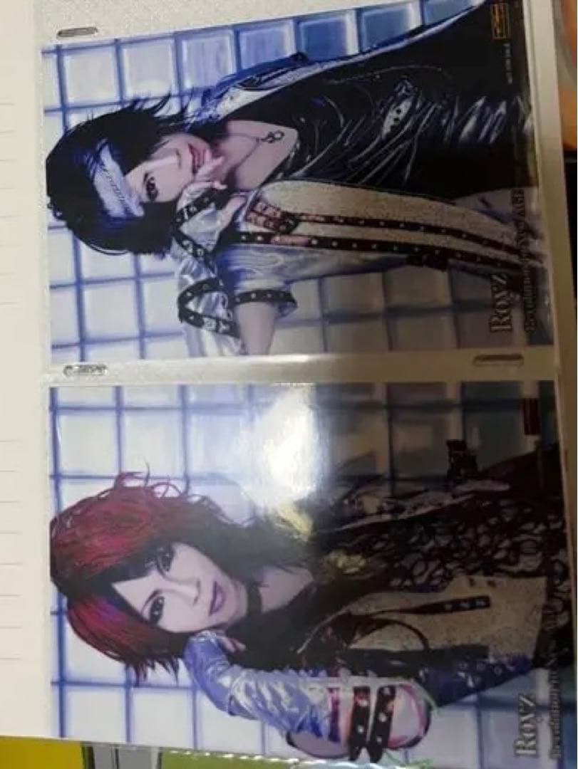 【Royz ViViD MEJIBRAY】 V系グッズ　チェキ　アー写　サイン