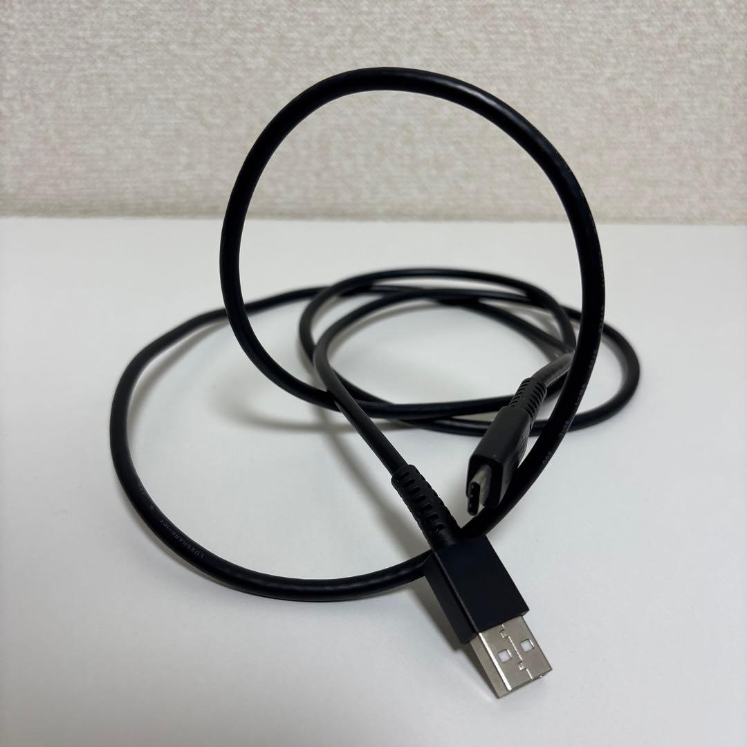 Nintendo Switch あつまれどうぶつの森デザイン +ドック付き 箱無