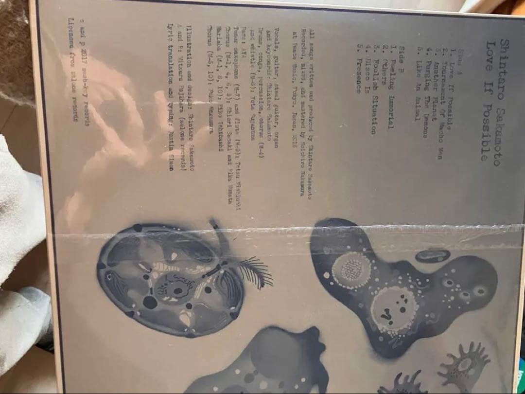 未開封　坂本慎太郎　Love If Possible アナログ　レコード