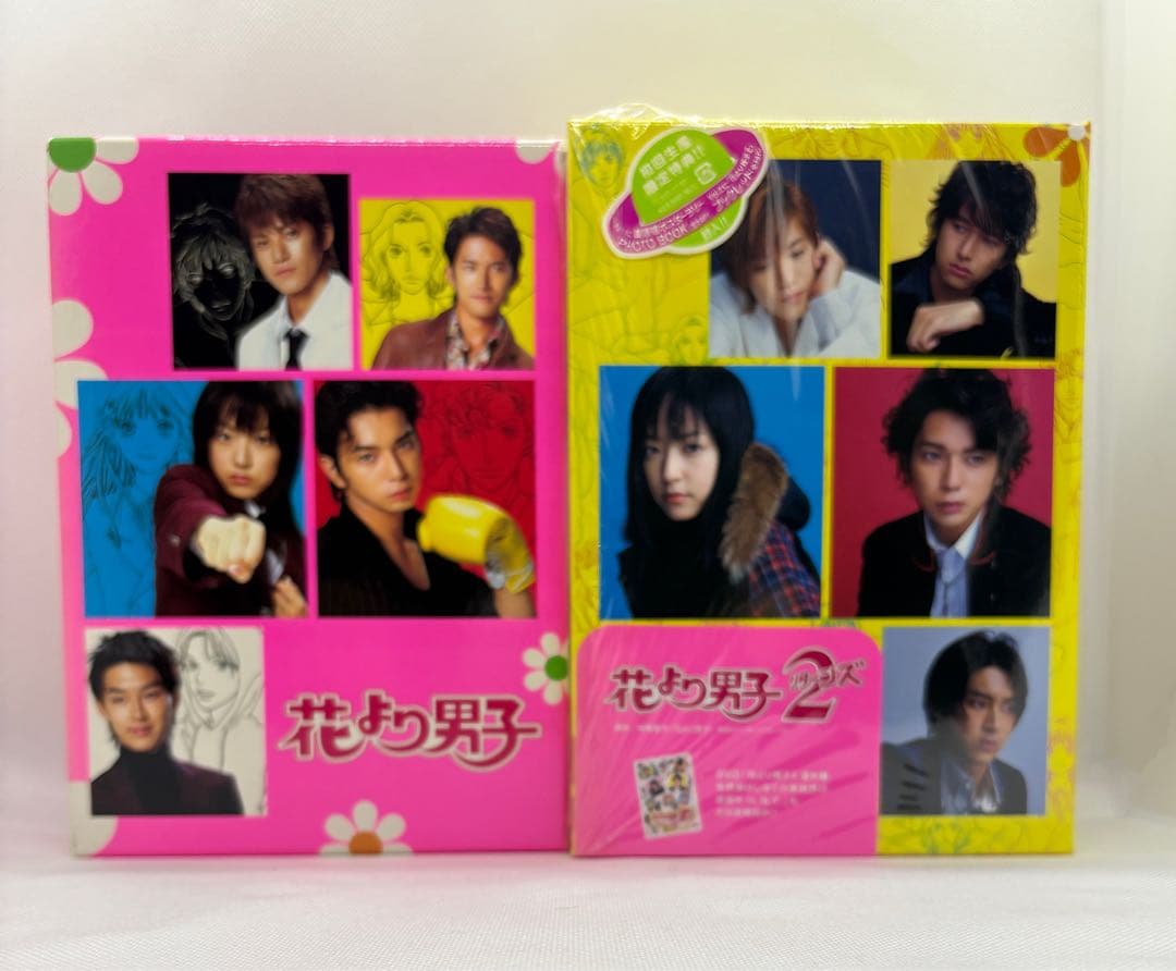 花より男子　DVD-BOX 初回限定版/ファイナル /番外編2枚　全話セット