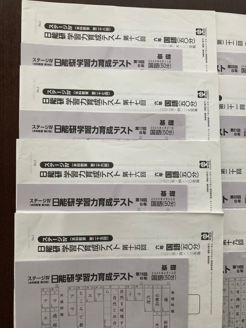 2025年　日能研　学習力育成テスト　6年　前期　全17回分　中学受験