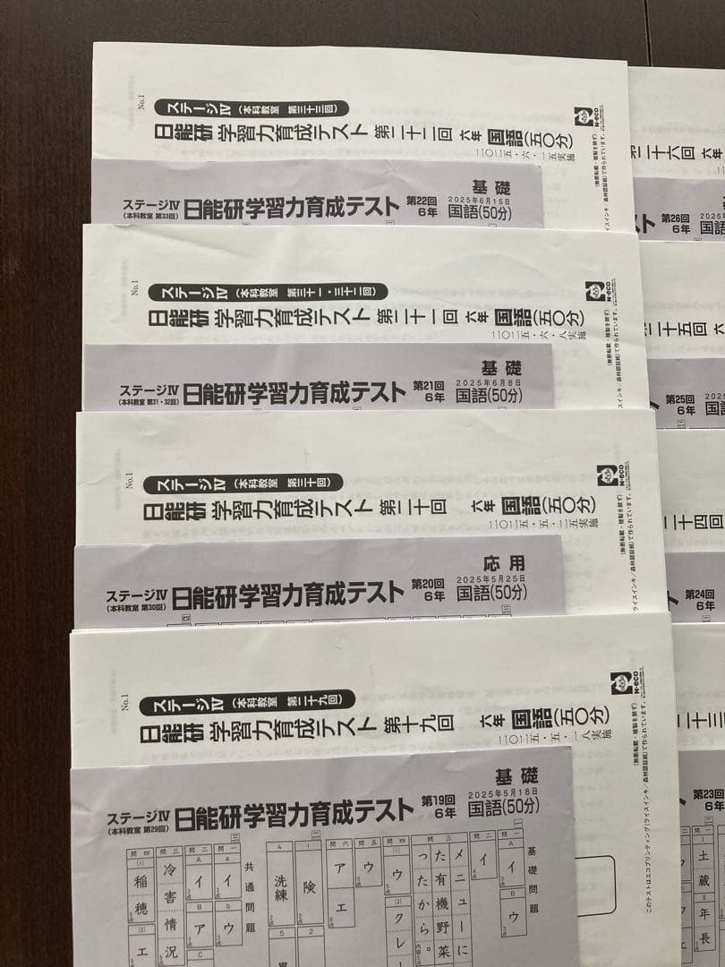 2025年　日能研　学習力育成テスト　6年　前期　全17回分　中学受験