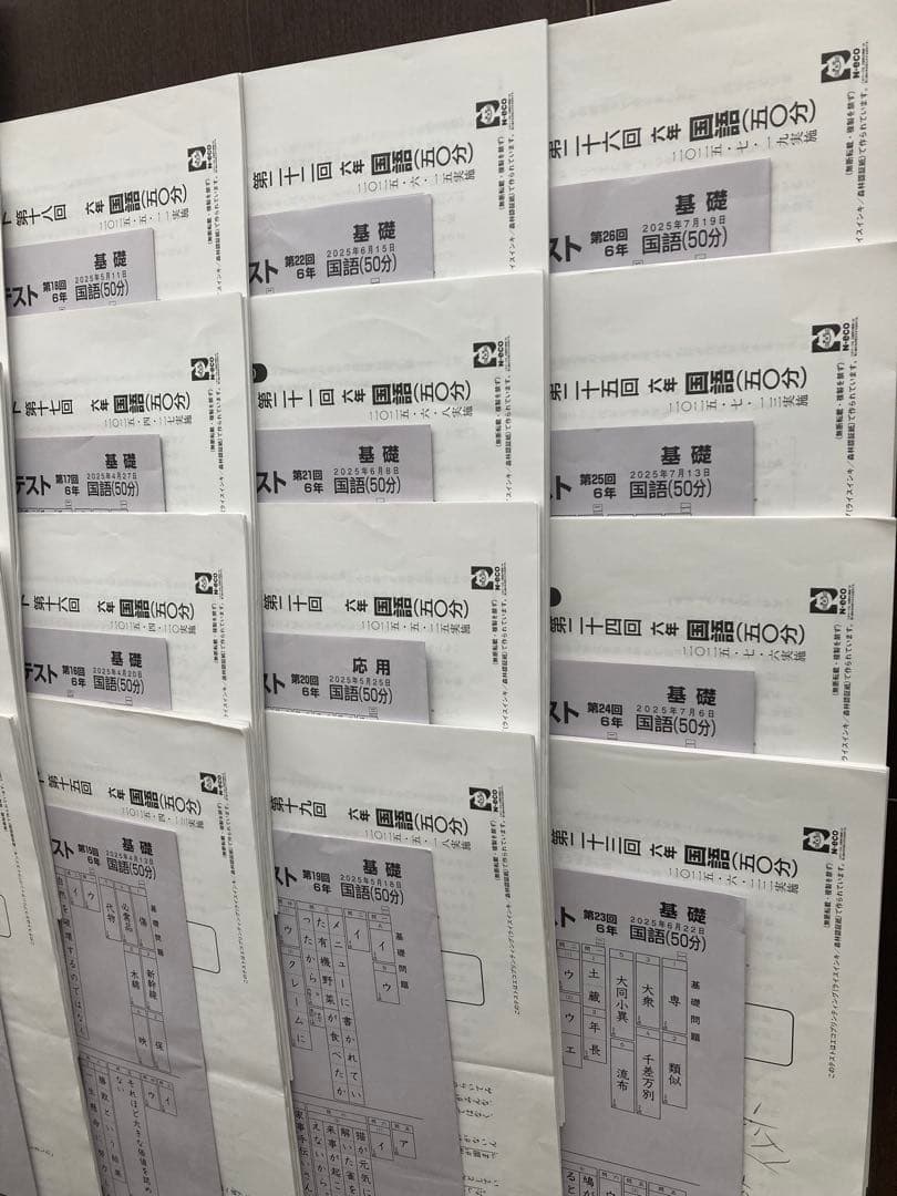 2025年　日能研　学習力育成テスト　6年　前期　全17回分　中学受験