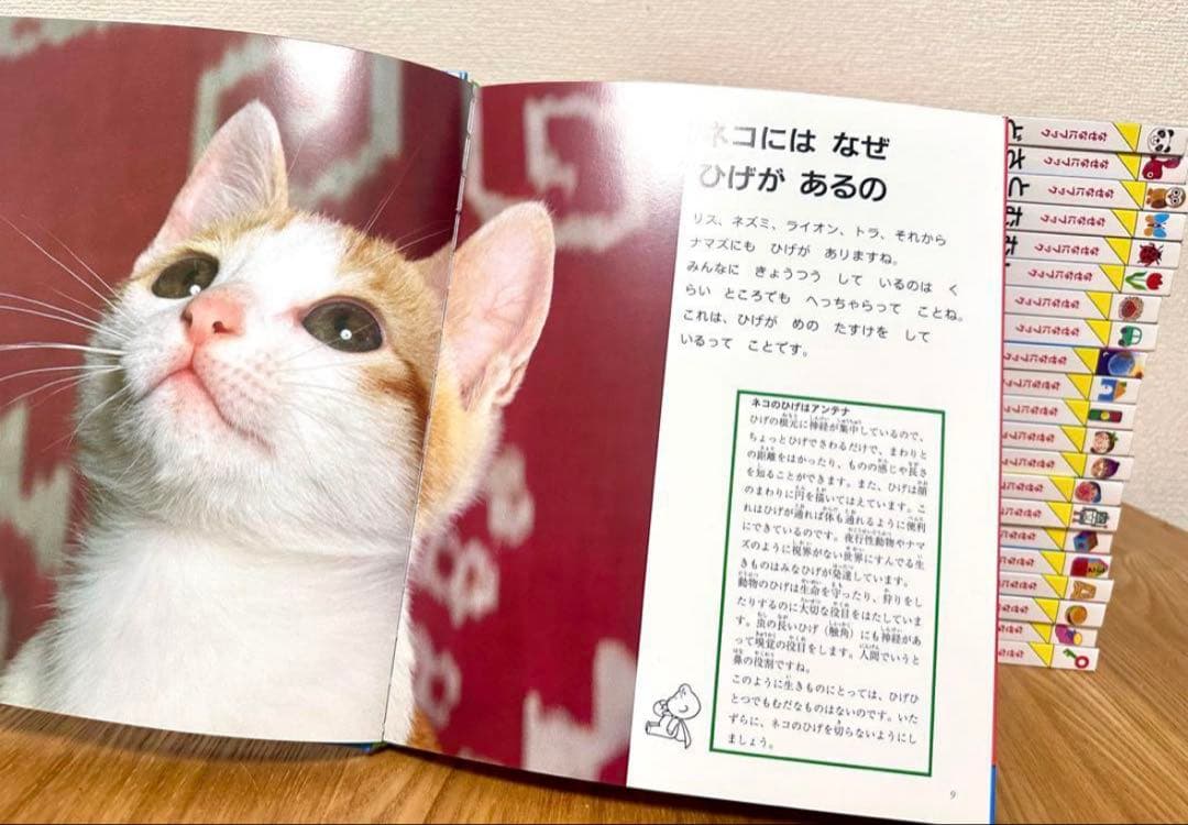【新品未使用】全22冊セット　なぜなにブック　幼児教育 知育絵本