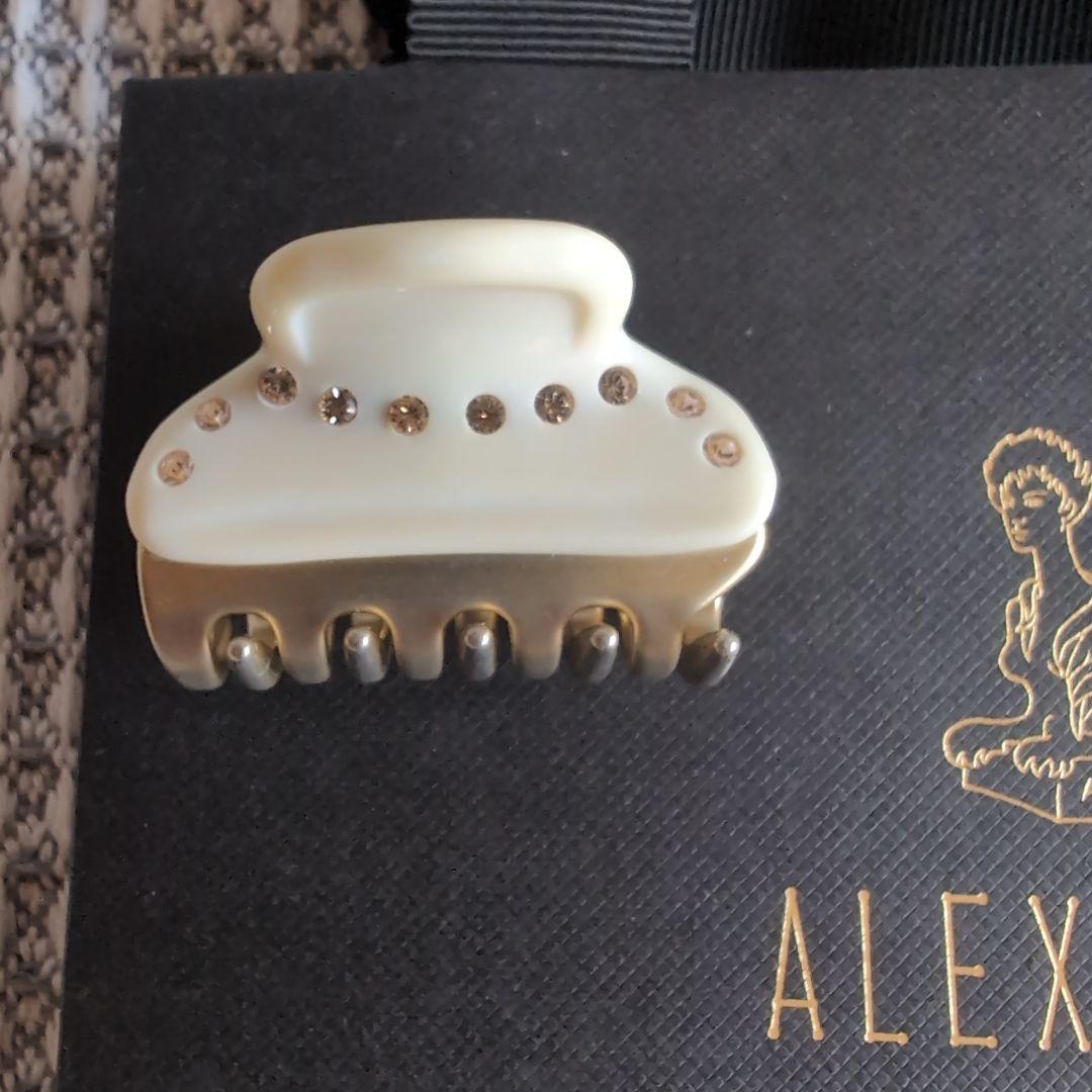 ALEXANDRE DE PARIS ヘアクリップ 2個セット　中古　おまけつき
