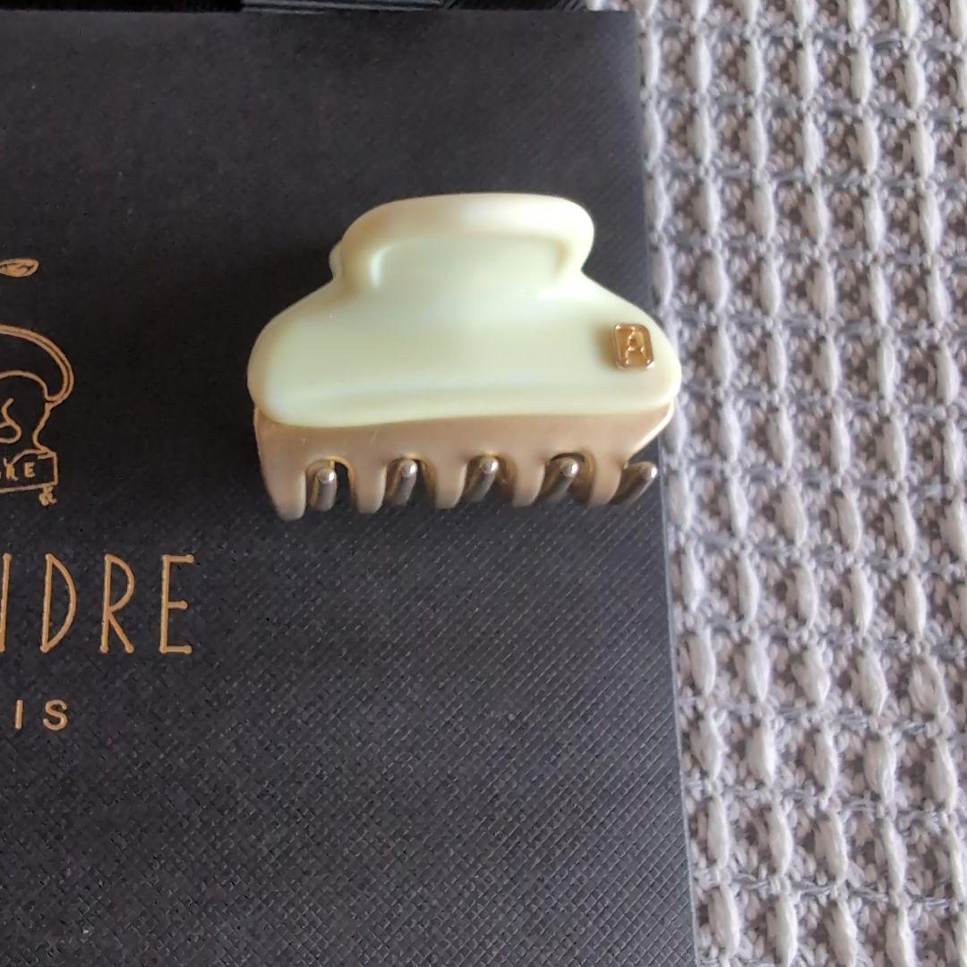 ALEXANDRE DE PARIS ヘアクリップ 2個セット　中古　おまけつき