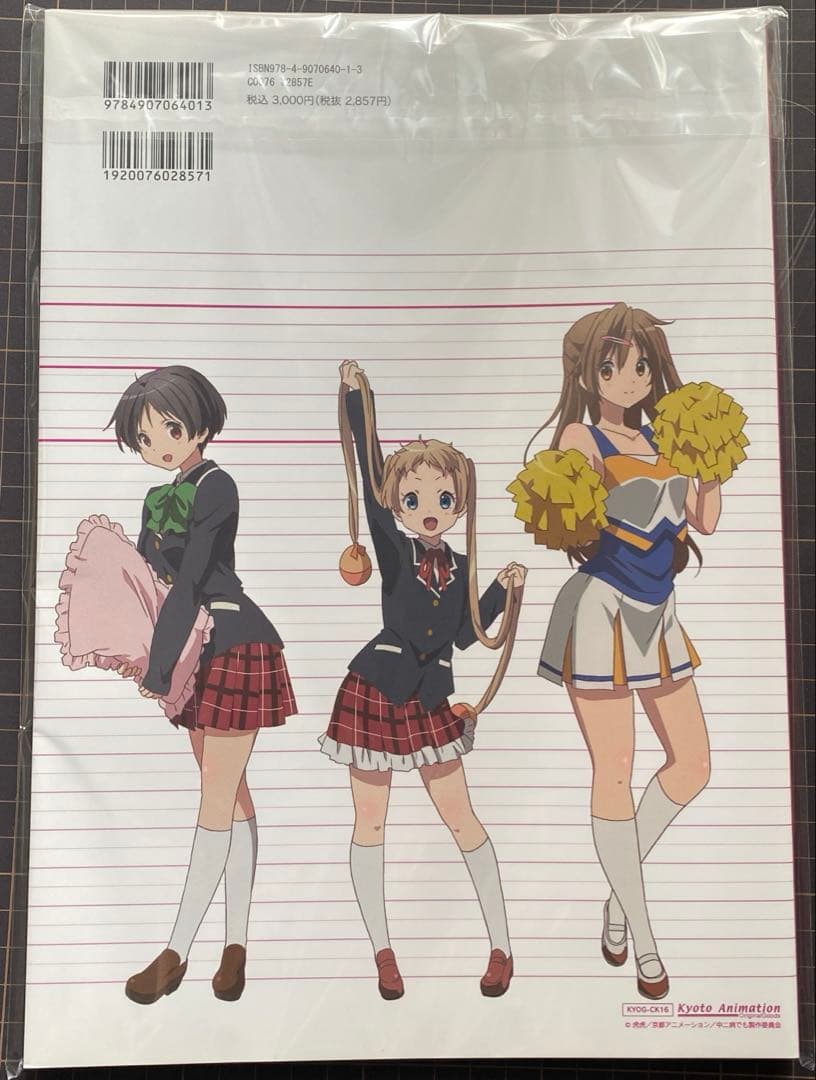 新品未開封　中二病でも恋がしたい！　公式設定資料集　初版