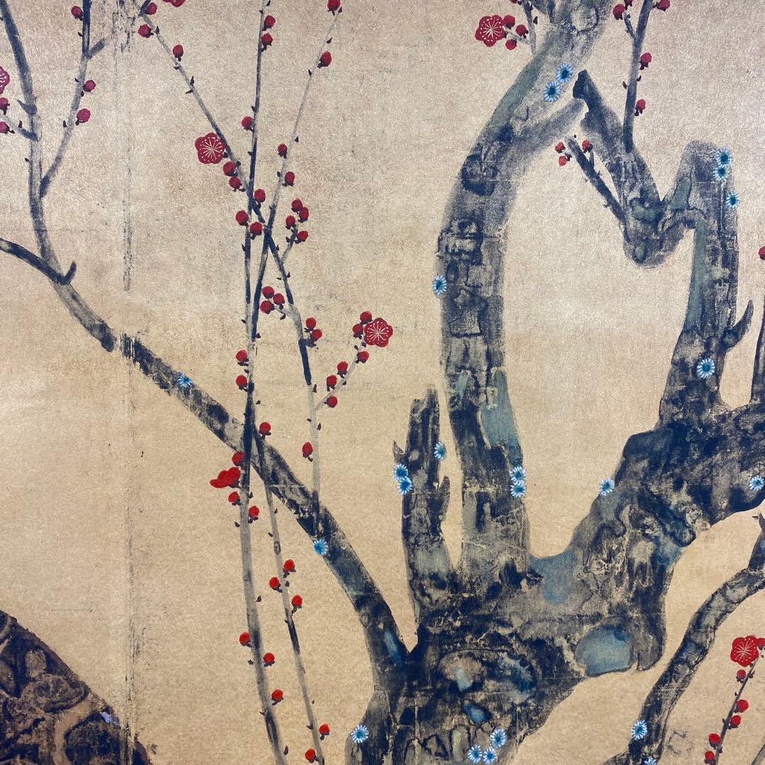 美品 掛け軸 尾形光琳筆 金地「紅梅」名画 縁起物