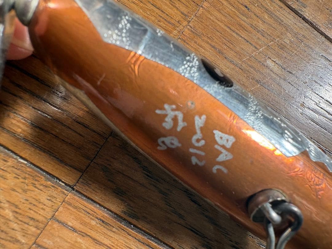 痴虫　ボルチ