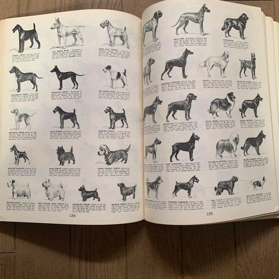 デザイン　古書　洋書