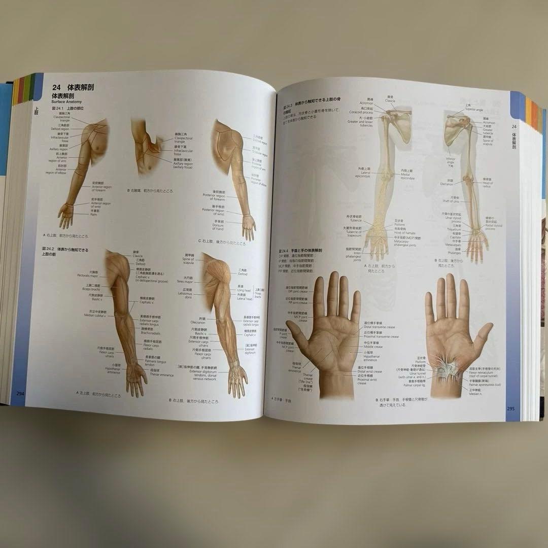 【超美品‼︎】　プロメテウス解剖学コアアトラス　第4版