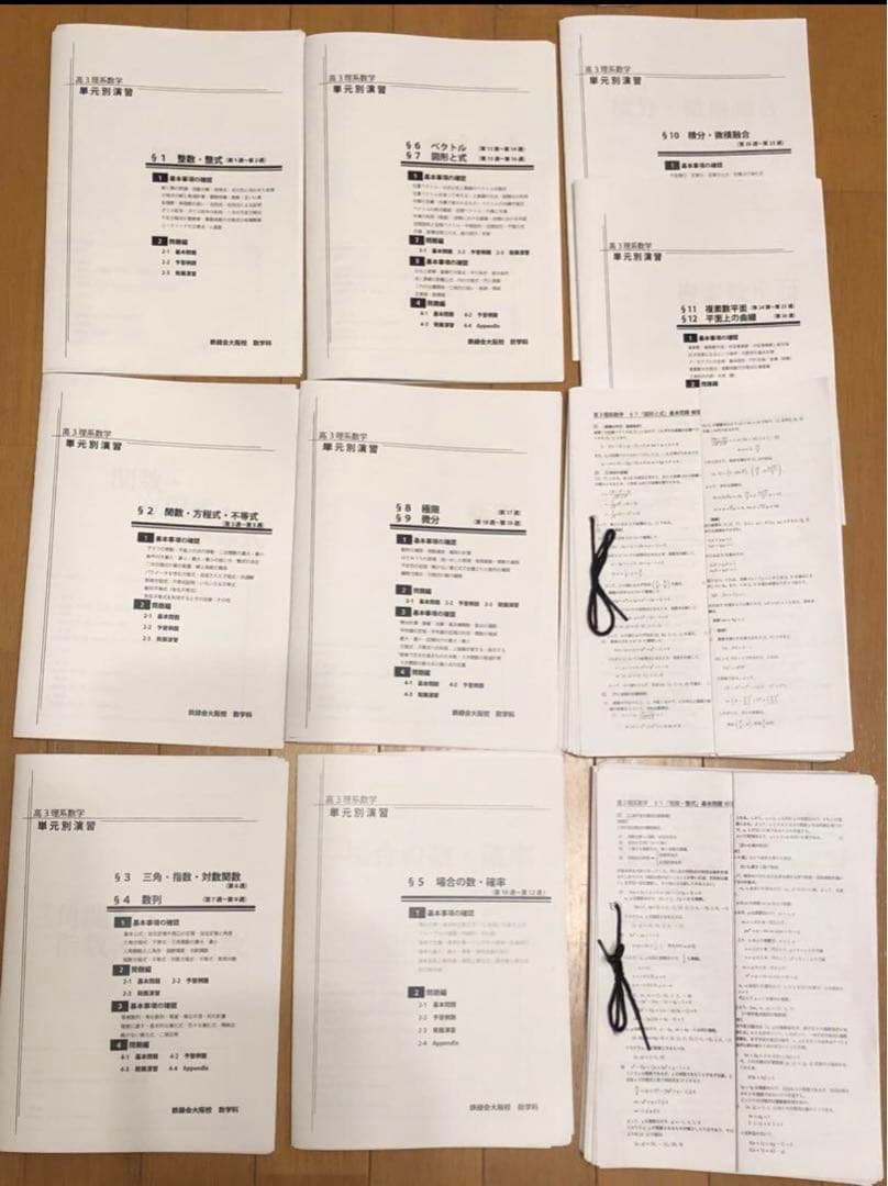 鉄緑会　高3 理系　数学　単元別演習　解答解説付フル　SA 鶴田先生手書解答付