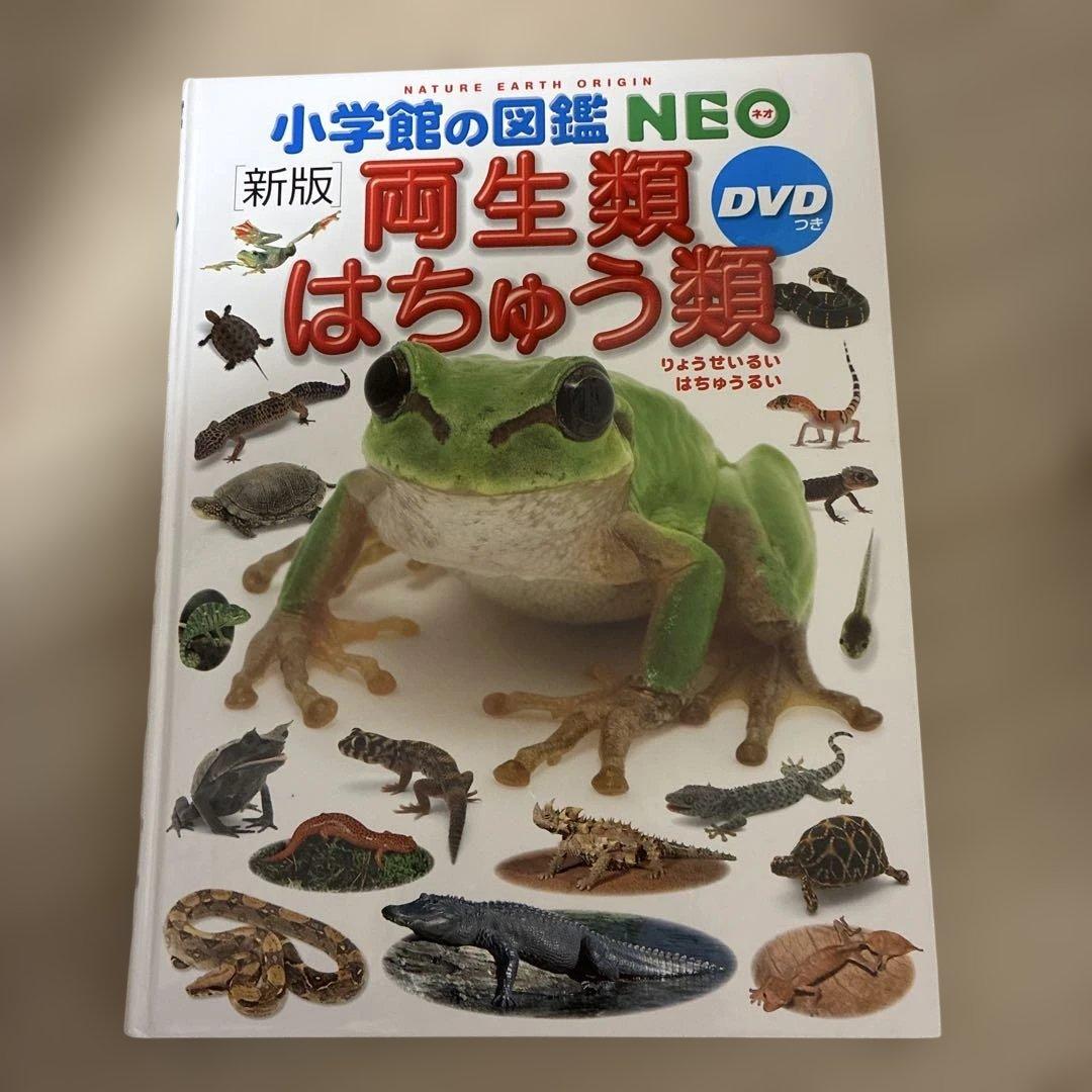 図鑑　セット