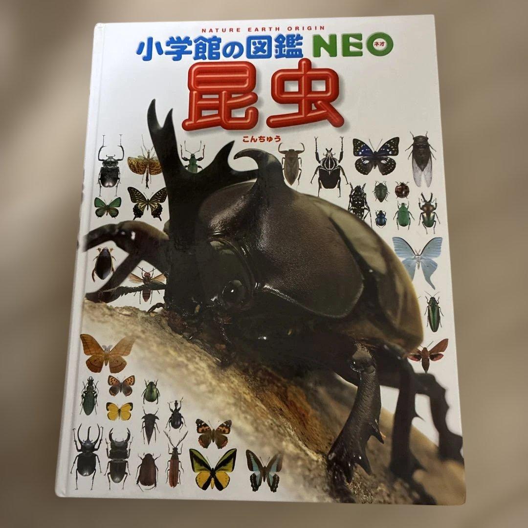 図鑑　セット