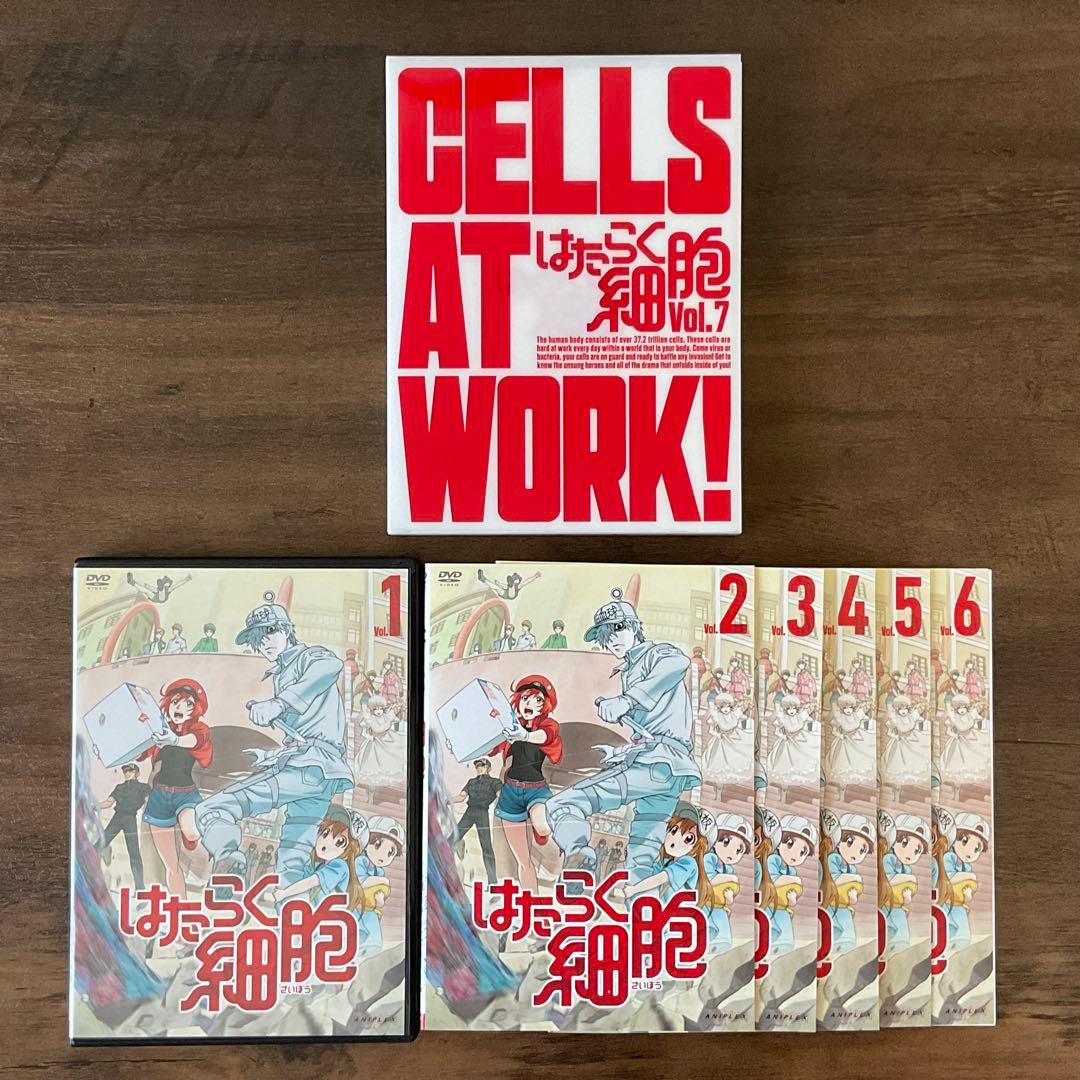 極美品『 はたらく細胞 全7巻 』 DVD 、完全生産限定版Blu-ray