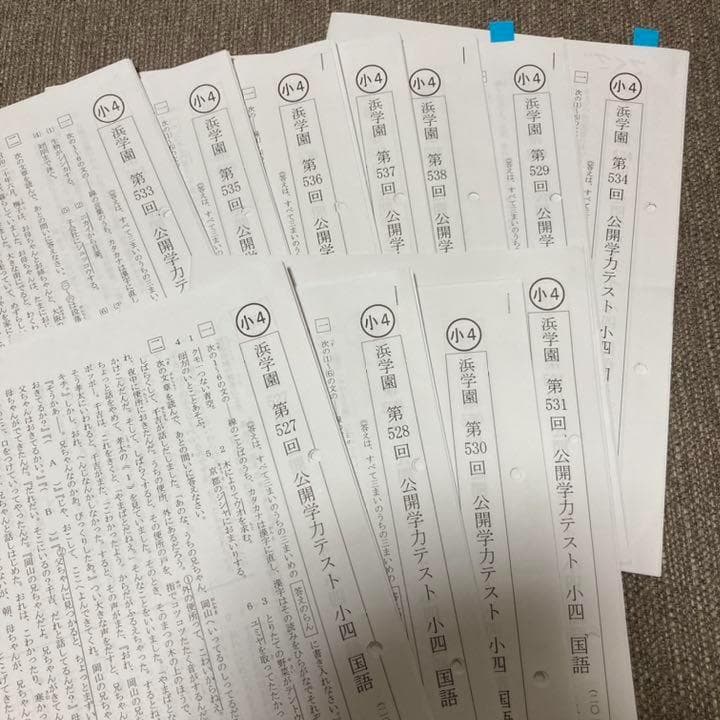 no22508100_【浜学園】小4　2017年度公開テスト3教科(国・算・理)