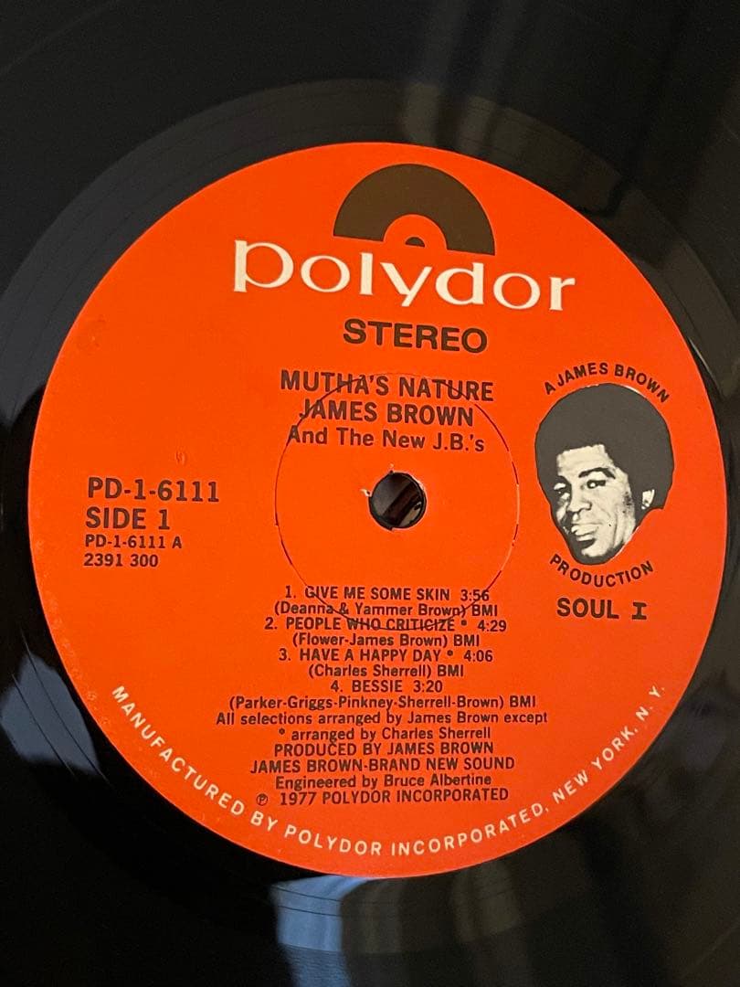 洋楽 James Brown - Mutha's Nature