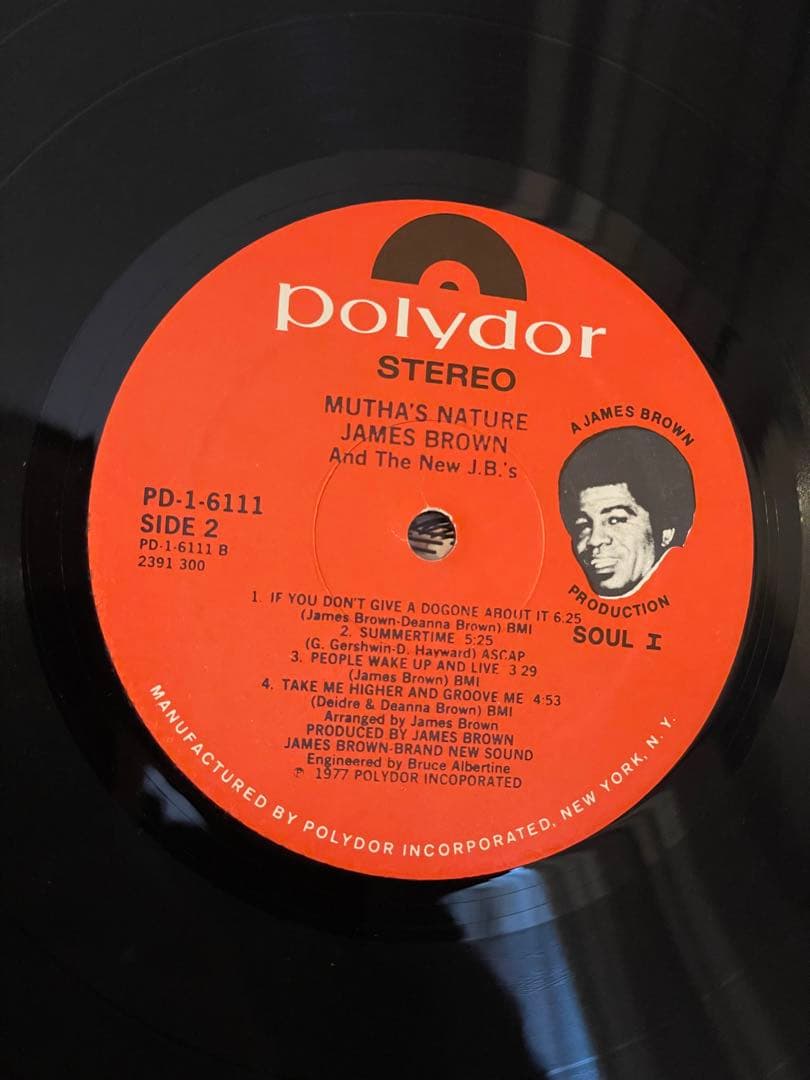 洋楽 James Brown - Mutha's Nature