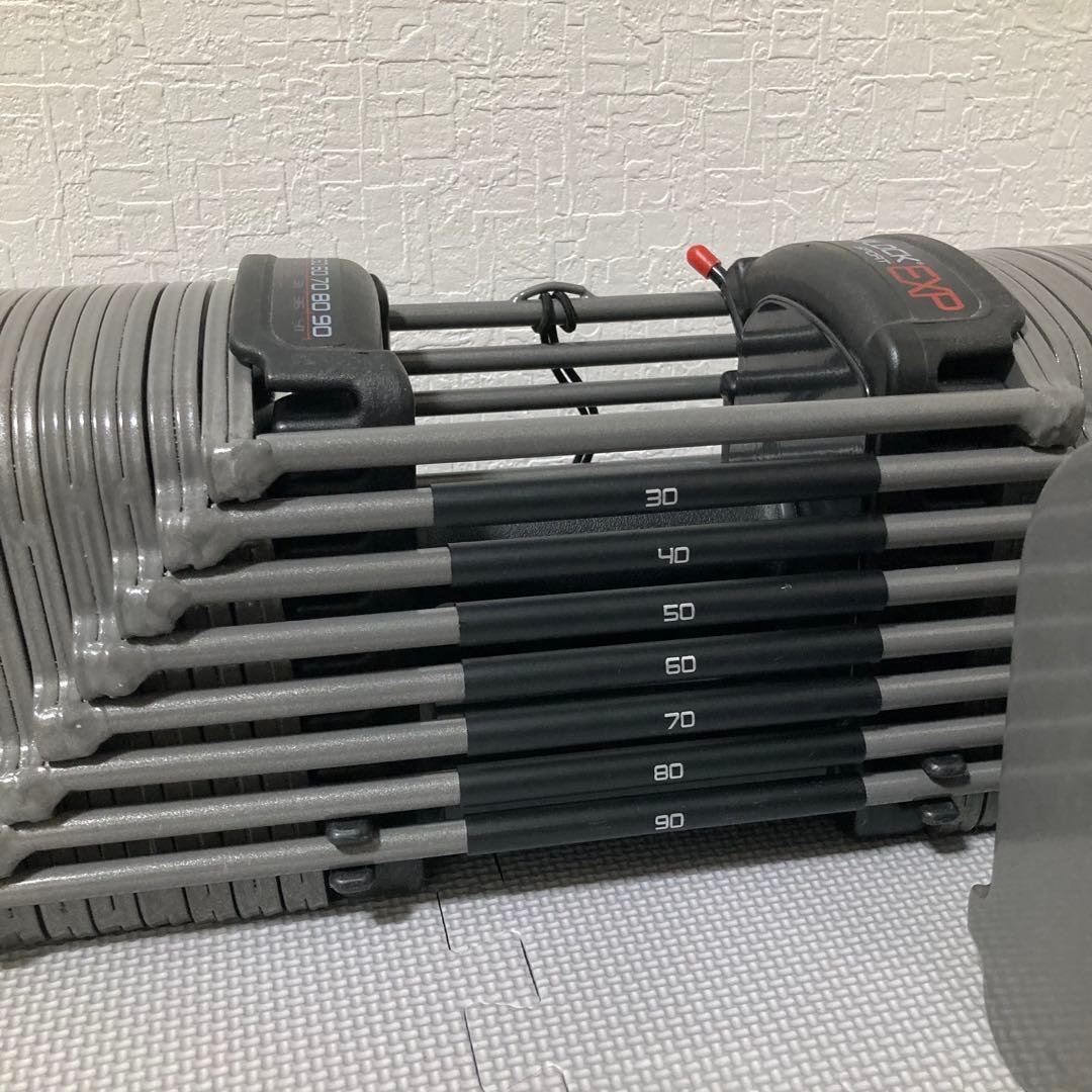 ❷パワーブロック POWER BLOCK EXP 90lb 41kg 可変式