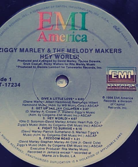 USオリジナル　ZIGGY MARLEY “Hey World！”