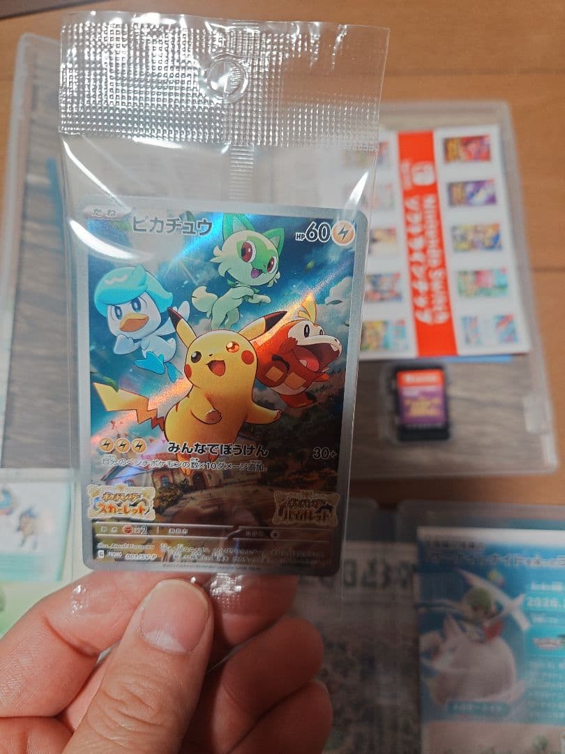 ポケットモンスター ソード・バイオレット・Z-A