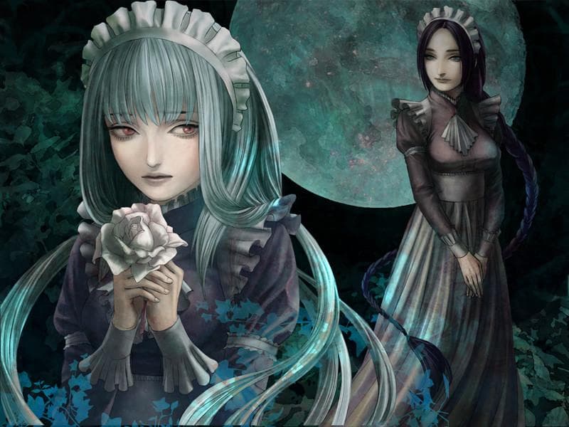 ファタモルガーナの館　House in Fata Morgana【Switch】