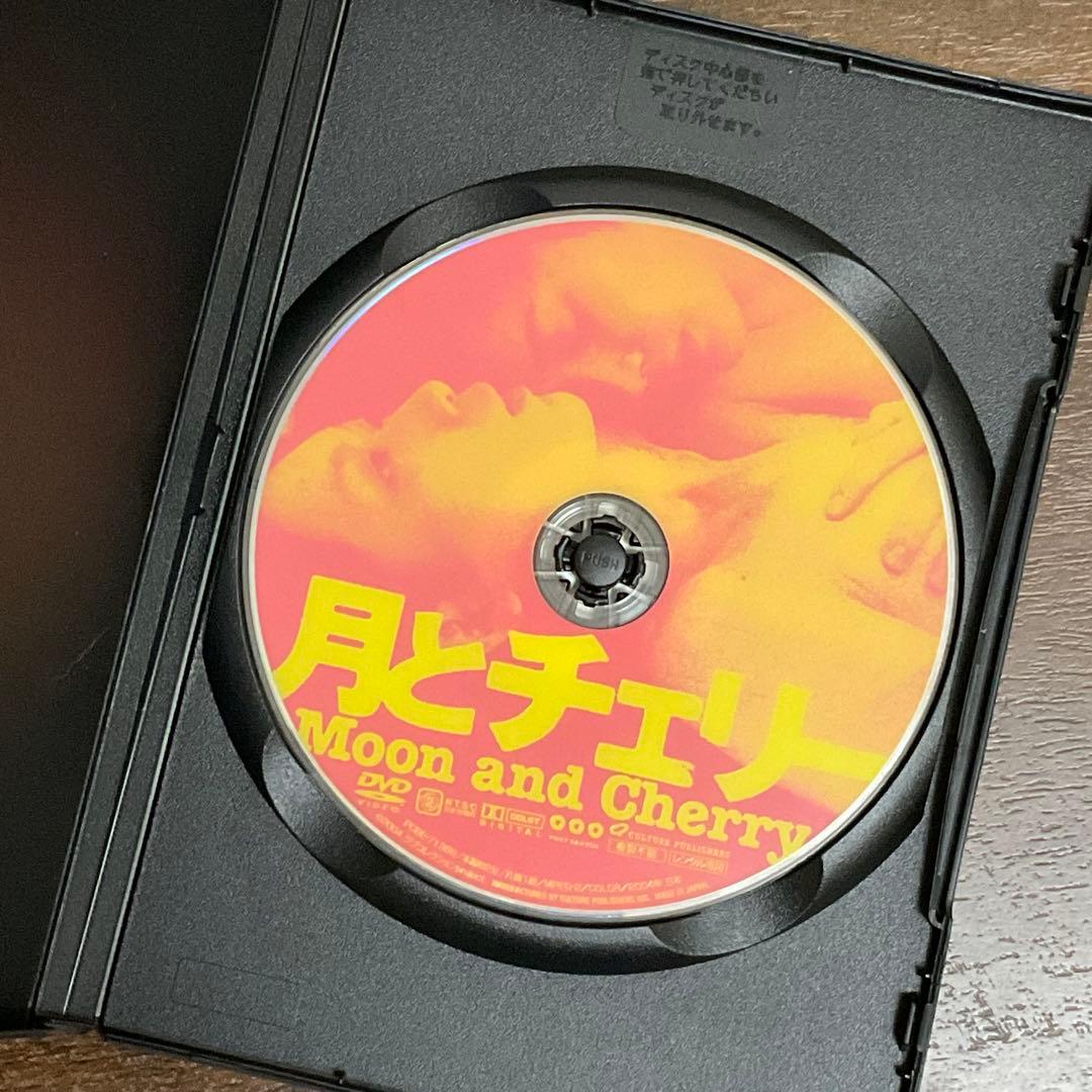 DVD 廃盤 / 月とチェリー / 2004年 / ラブコメ / 江口のりこ