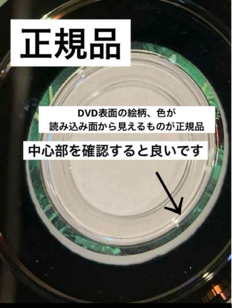 ジブリDVD本編ディスク１０枚(104)