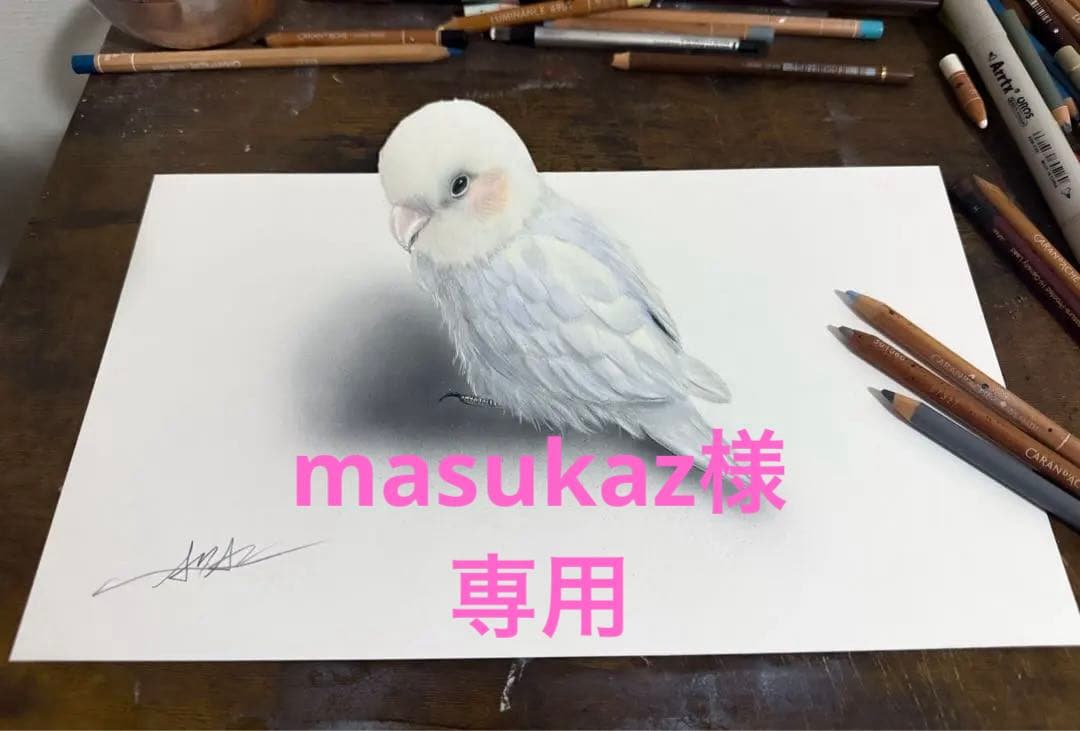 色鉛筆画 インコ (原画)