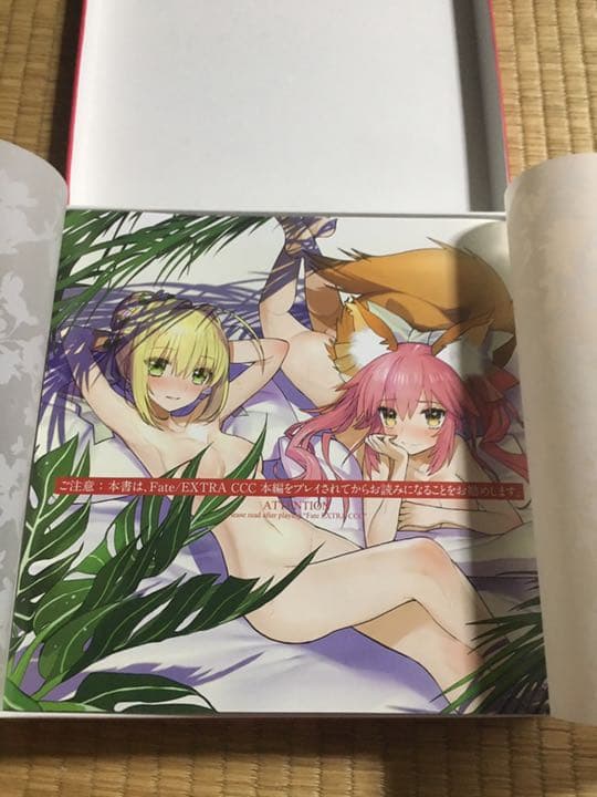 Fate/EXTRA CCC Original Sound Track初回限定版