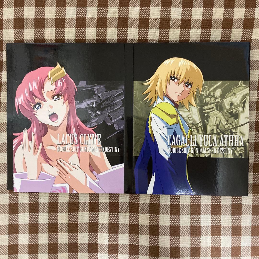 機動戦士ガンダムSEED DESTINY DVD-BOX〈初回限定生産・10枚…