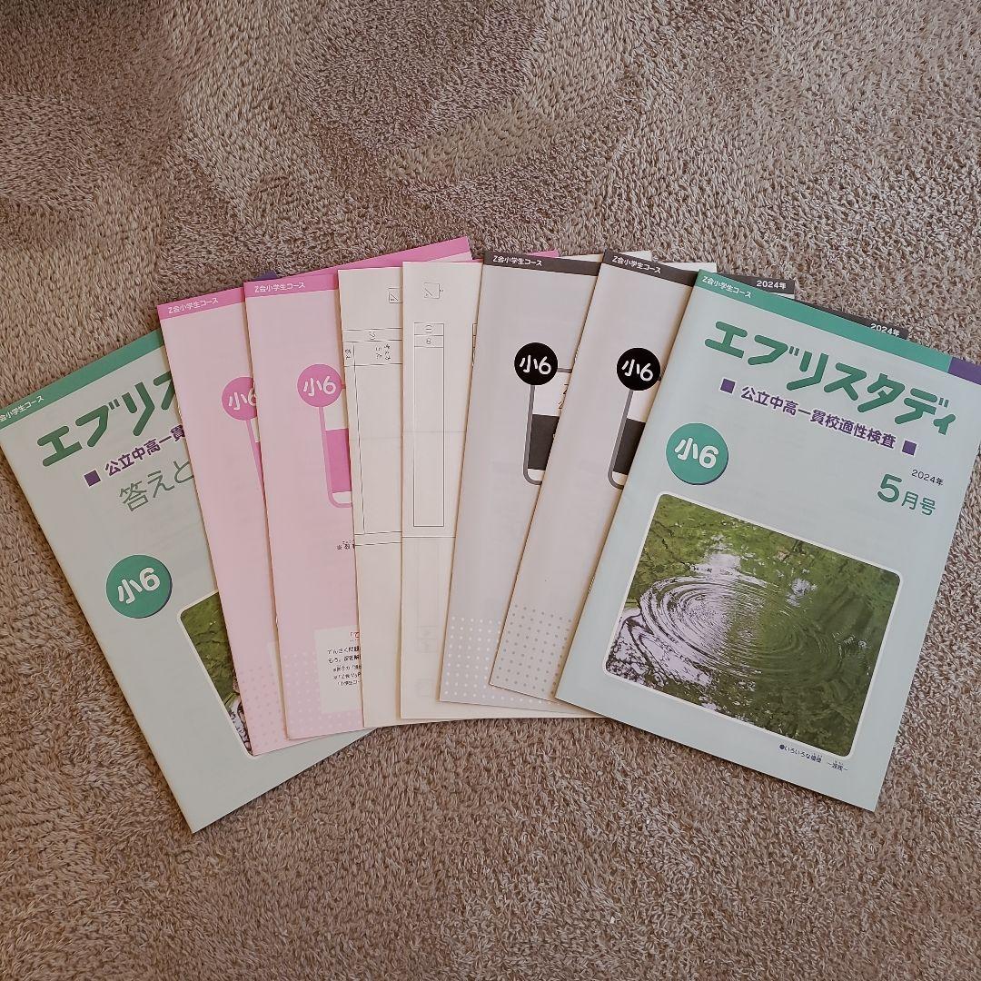 公立中高一貫校 適性検査対策 小6 エブリスタディ Z会