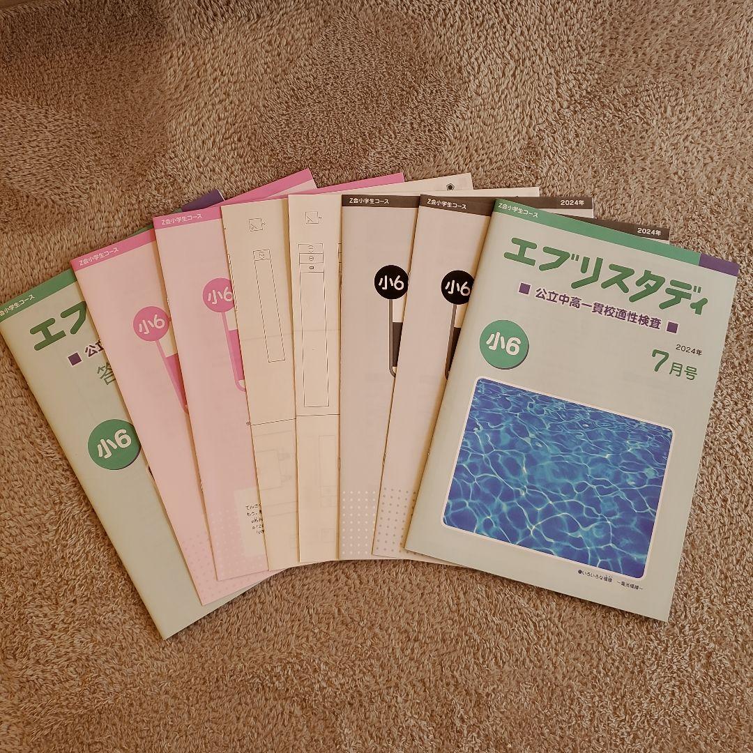 公立中高一貫校 適性検査対策 小6 エブリスタディ Z会