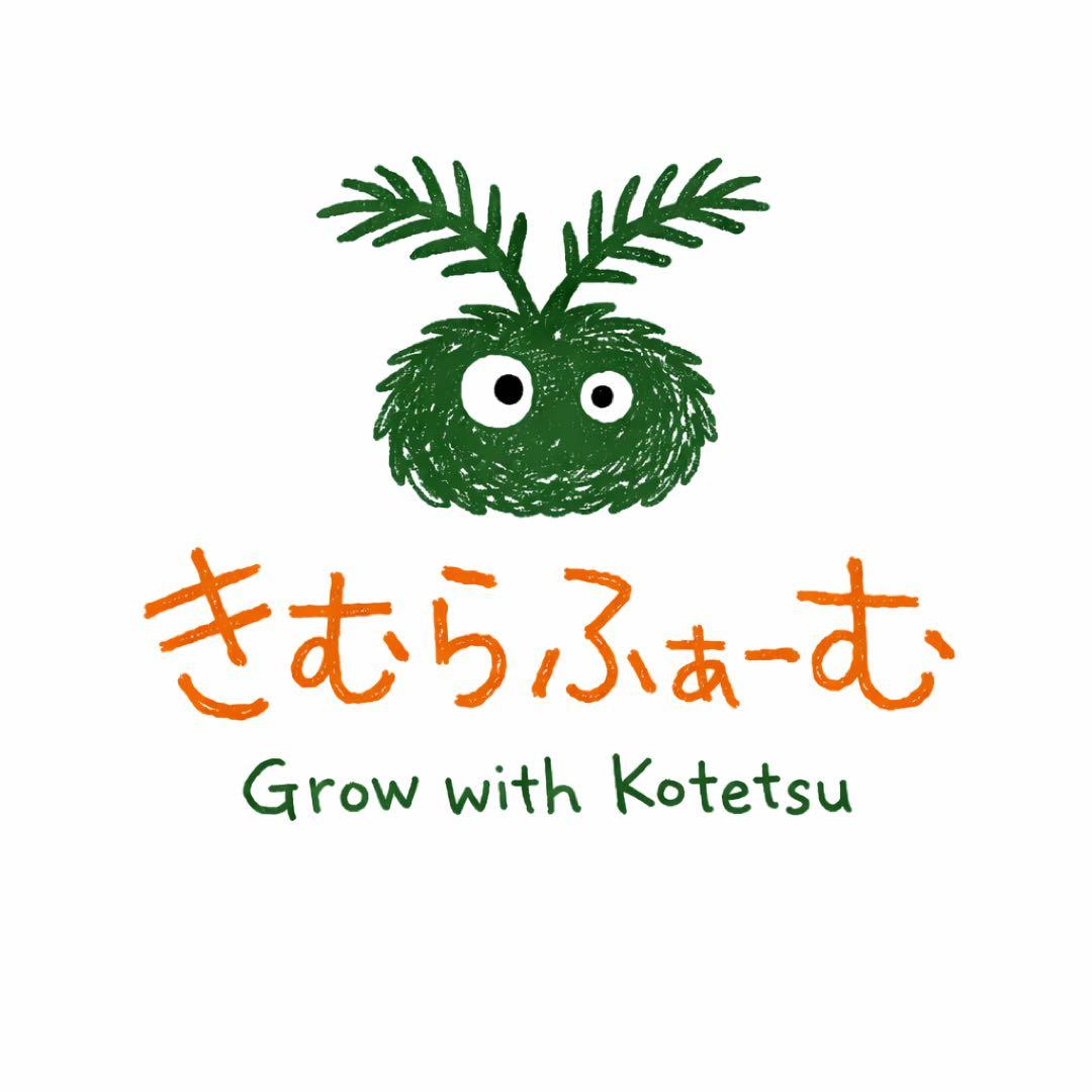 【特選個体】【初売り最終】ソテツ子株　観葉植物　ドライガーデン　南国風