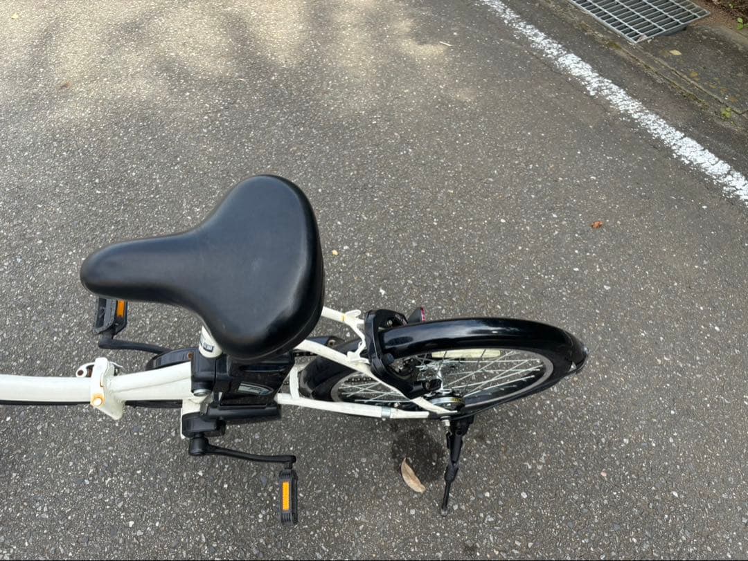 PELTECH 折りたたみ電動アシスト自転車 20インチ