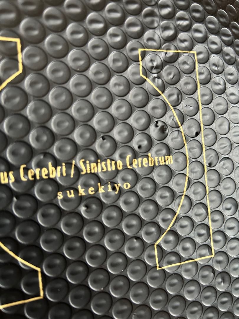 邦楽 sukekiyo lus Cerebri/Sinistro Cerebrum