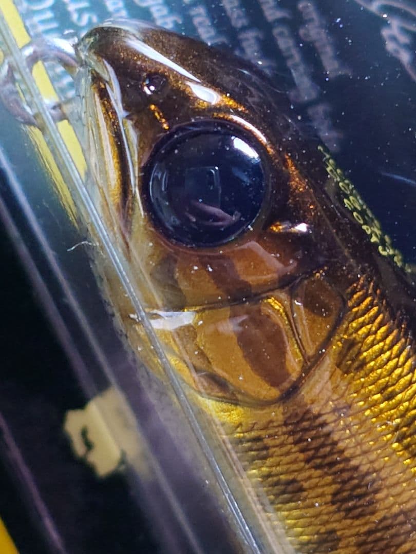 メガバス ito ドッグX ジュニア PM 雷魚 新品未開封