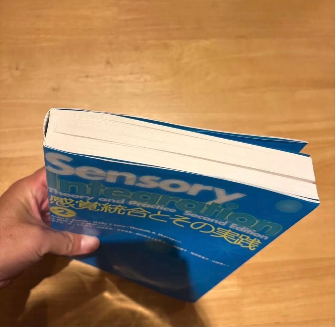 感覚統合とその実践　Sensory Integration第2版