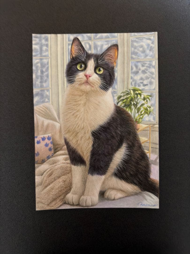 色鉛筆画A4 窓辺のハチワレ猫
