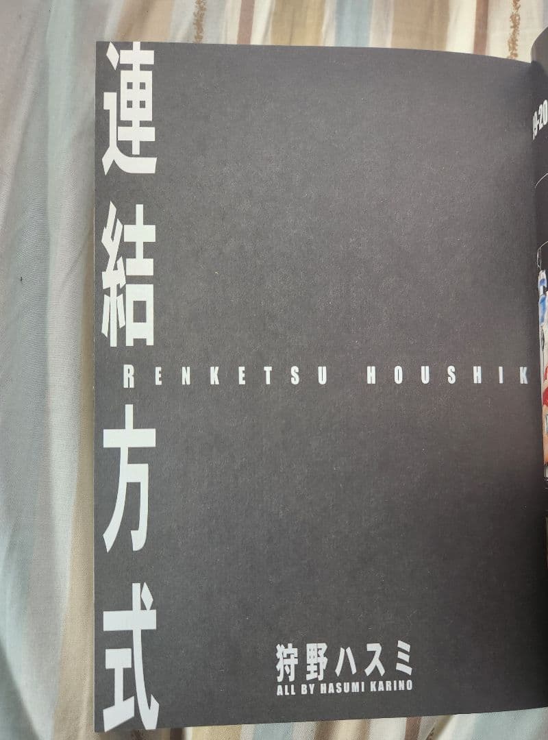 狩野ハスミ 2冊セット