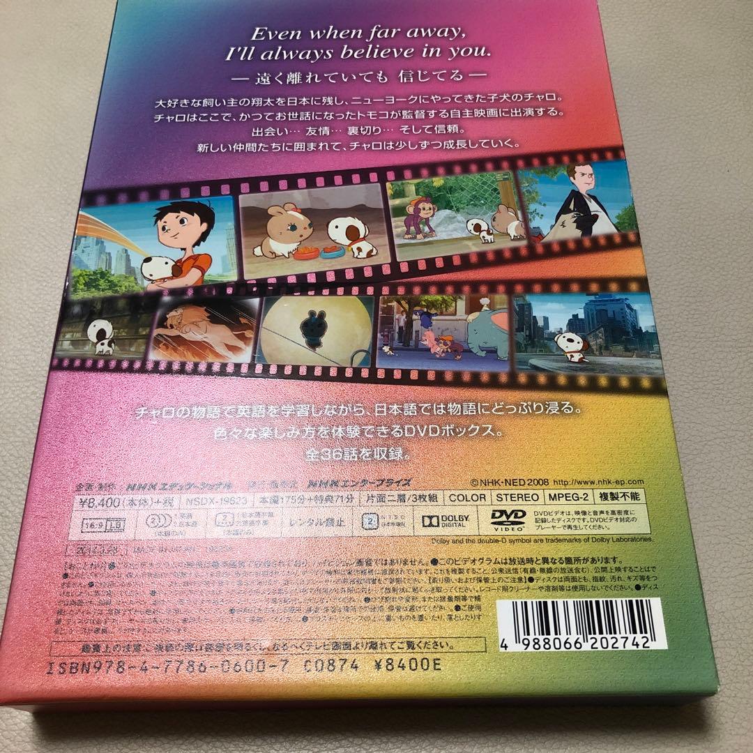 キッズ・ファミリー Little Charo 4 New York Again DVD BOX